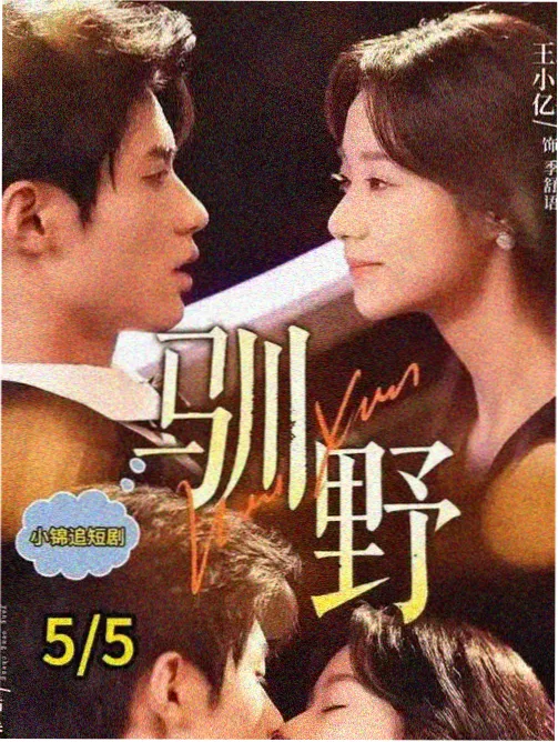 山城纪事 年代群像剧集封面